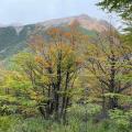 landscape Chile